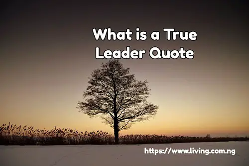 What is a True Leader Quote