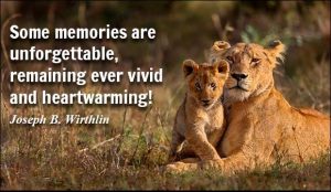 Unforgettable Memories Quotes /Sweet Memory Quotes