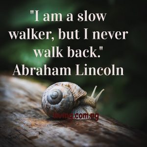 I am a slow walker, but I never walk back.