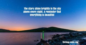 The stars shine brightly