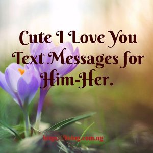 Cute I Love You Text Messages for Him-Her