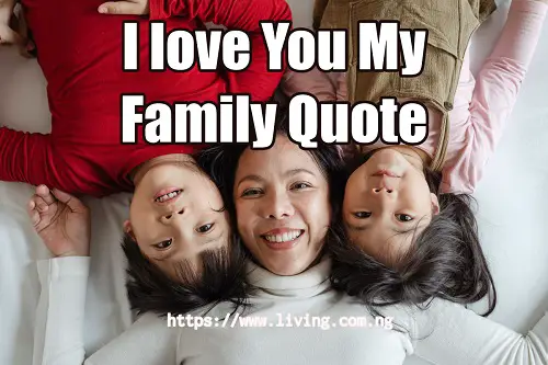 I love You My Family Quote