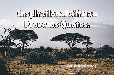 Inspirational African Proverbs Quotes
