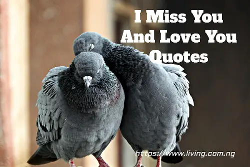 I Miss You And Love You Quotes