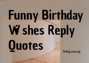 Funny Birthday Wishes Reply Quotes