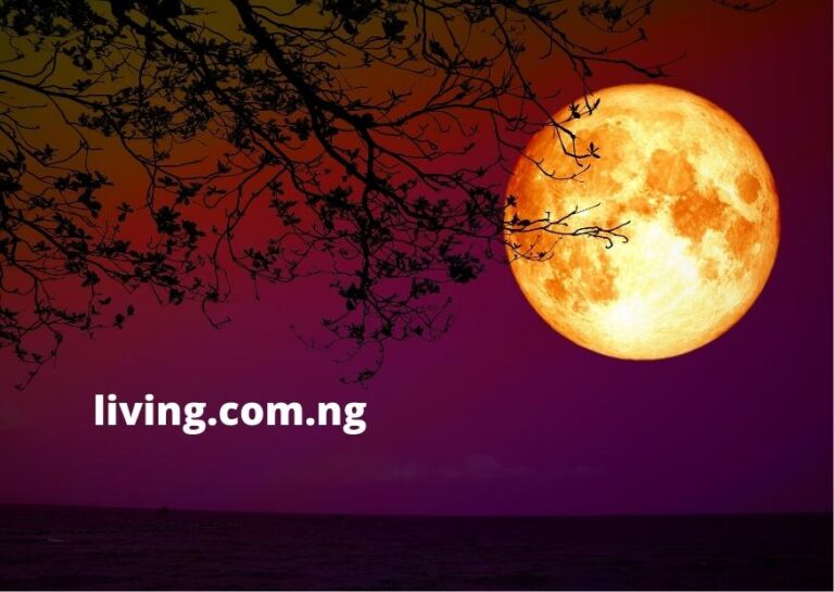 Instagram Captions for Full Moon