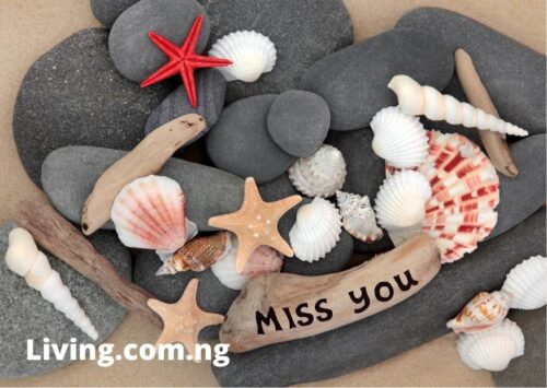 Romantic Missing You Letters for Him