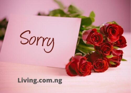 Love Letters for Her Saying Sorry