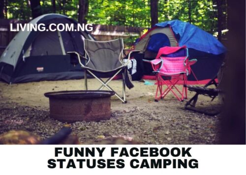 Funny Facebook Statuses Camping