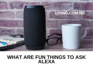 What Are Fun Things to Ask Alexa