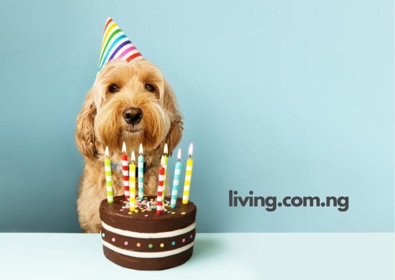 Funny Same Day Birthday Quotes