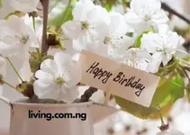 Funny November Birthday Quotes Archives - Living