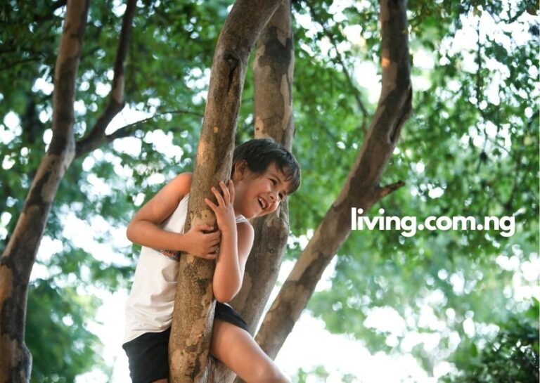 Instagram Captions for Climbing Trees