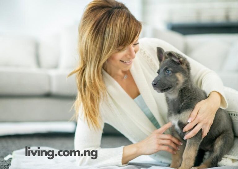 Welcome New Puppy Captions for Instagram