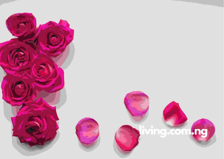 22nd Wedding Anniversary Wishes for Wife